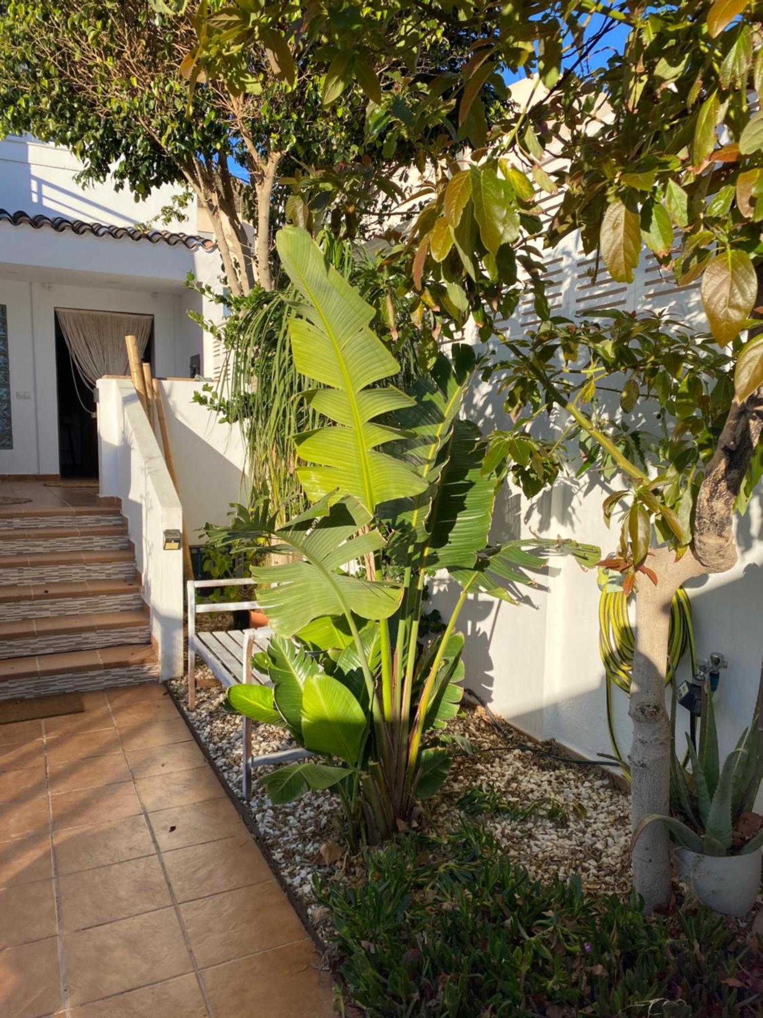 Villa Casa Energía del Cabo. San Jose Cabo de Gata. Exterior foto